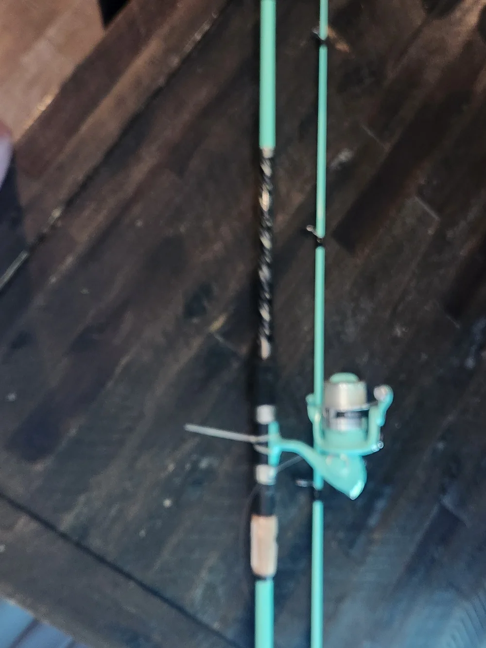 Chaser branded rod